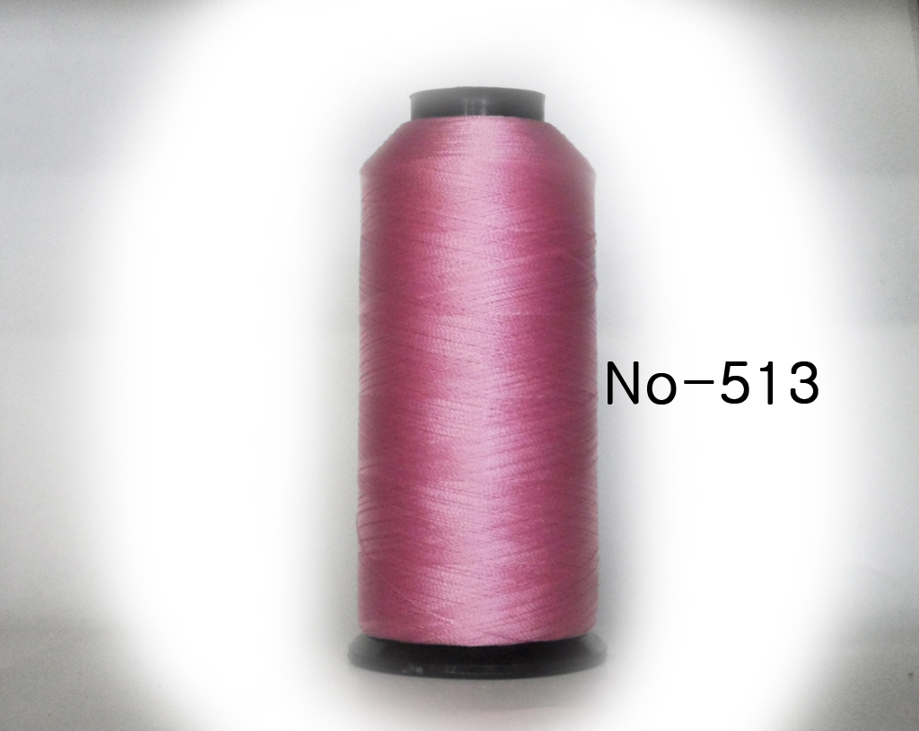 513.jpg