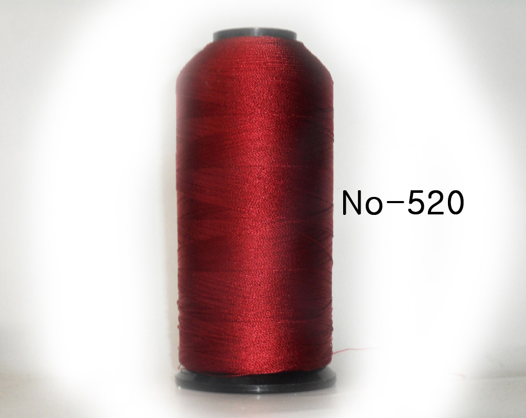 520.jpg